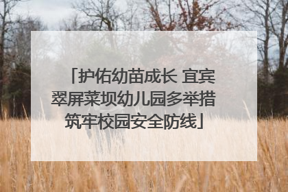 护佑幼苗成长 宜宾翠屏菜坝幼儿园多举措筑牢校园安全防线