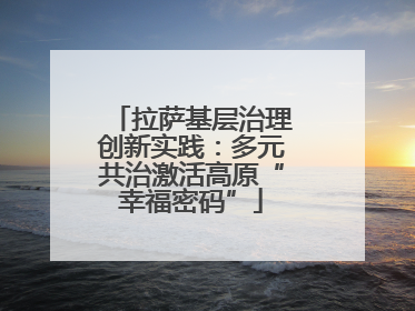 拉萨基层治理创新实践：多元共治激活高原“幸福密码”