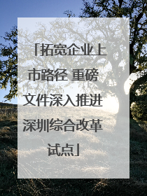 拓宽企业上市路径 重磅文件深入推进深圳综合改革试点