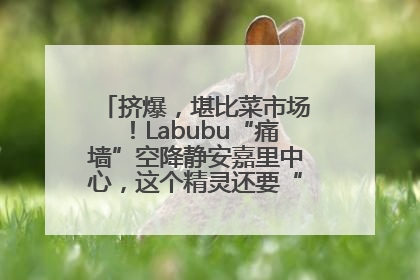 挤爆，堪比菜市场！Labubu“痛墙”空降静安嘉里中心，这个精灵还要“突袭”便利店？
