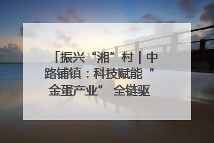 振兴“湘”村｜中路铺镇：科技赋能“金蛋产业” 全链驱动乡村振兴