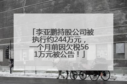 李亚鹏持股公司被执行约244万元，一个月前因欠税561万元被公告！