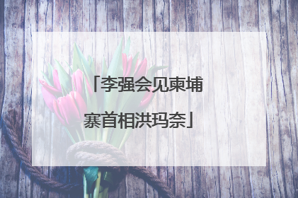 李强会见柬埔寨首相洪玛奈