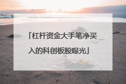 杠杆资金大手笔净买入的科创板股曝光