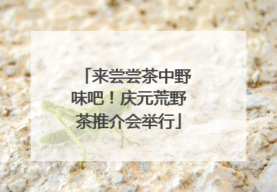 来尝尝茶中野味吧！庆元荒野茶推介会举行