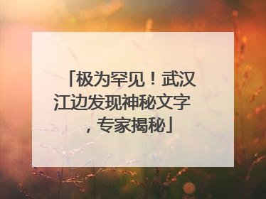 极为罕见！武汉江边发现神秘文字，专家揭秘