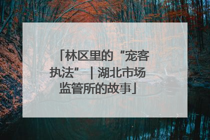 林区里的“宠客执法”｜湖北市场监管所的故事