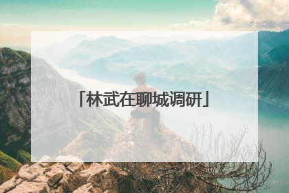 林武在聊城调研