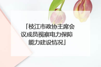 枝江市政协主席会议成员视察电力保障能力建设情况