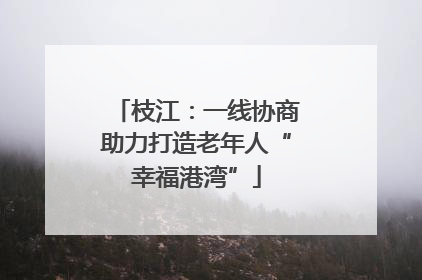 枝江：一线协商助力打造老年人“幸福港湾”