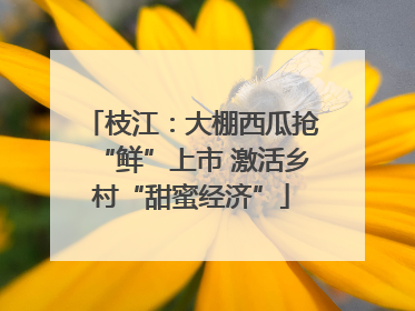 枝江：大棚西瓜抢“鲜”上市 激活乡村“甜蜜经济”