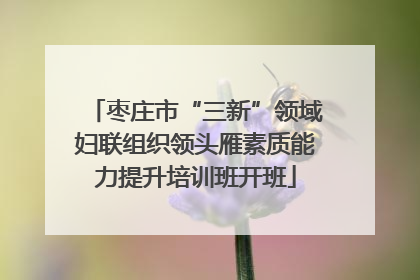 枣庄市“三新”领域妇联组织领头雁素质能力提升培训班开班