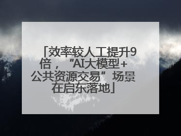 效率较人工提升9倍，“AI大模型+公共资源交易”场景在启东落地