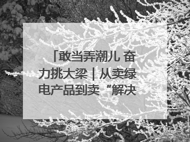 敢当弄潮儿 奋力挑大梁｜从卖绿电产品到卖“解决方案”！溧阳立足产业优势建成五大微电网示范项目