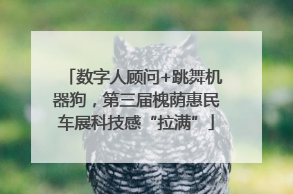 数字人顾问+跳舞机器狗，第三届槐荫惠民车展科技感“拉满”