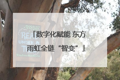 数字化赋能 东方雨虹全链“智变”