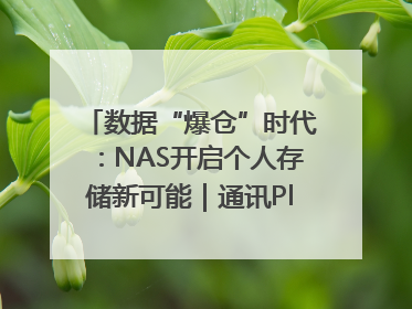 数据“爆仓”时代：NAS开启个人存储新可能｜通讯Plus·深度