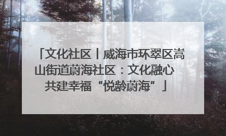 文化社区丨威海市环翠区嵩山街道蔚海社区：文化融心 共建幸福“悦龄蔚海”