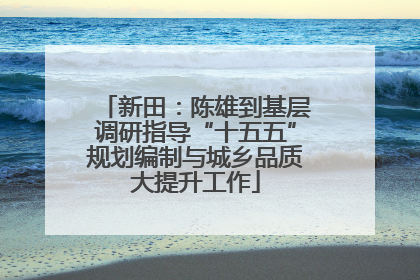 新田：陈雄到基层调研指导“十五五”规划编制与城乡品质大提升工作