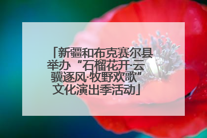 新疆和布克赛尔县举办“石榴花开·云骥逐风·牧野欢歌”文化演出季活动