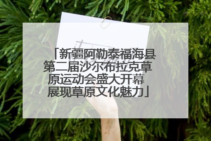 新疆阿勒泰福海县第二届沙尔布拉克草原运动会盛大开幕 展现草原文化魅力