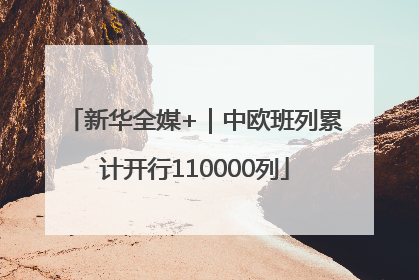 新华全媒+｜中欧班列累计开行110000列