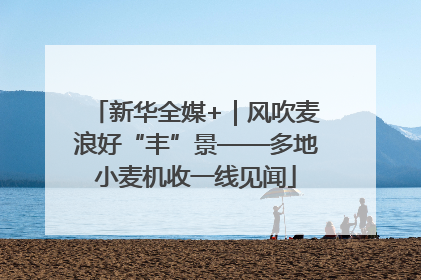 新华全媒+｜风吹麦浪好“丰”景——多地小麦机收一线见闻