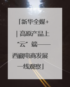 新华全媒+｜高原产品上“云”端——西藏电商发展一线观察