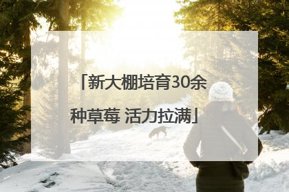 新大棚培育30余种草莓 活力拉满