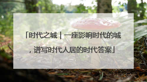 时代之城｜一座影响时代的城，谱写时代人居的时代答案