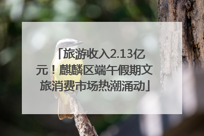 旅游收入2.13亿元！麒麟区端午假期文旅消费市场热潮涌动