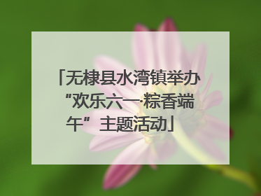 无棣县水湾镇举办“欢乐六一·粽香端午”主题活动