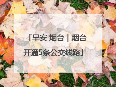 早安 烟台｜烟台开通5条公交线路