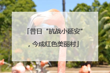 昔日“抗战小延安”，今成红色美丽村