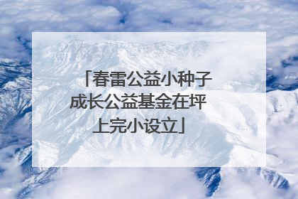春雷公益小种子成长公益基金在坪上完小设立