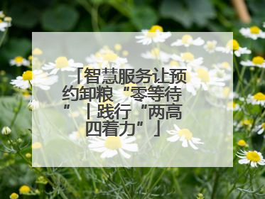 智慧服务让预约卸粮“零等待”丨践行“两高四着力”