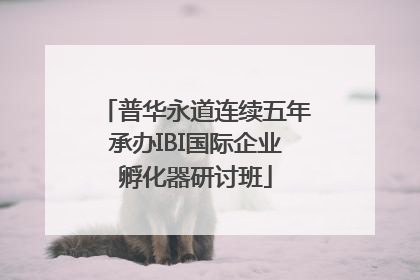 普华永道连续五年承办IBI国际企业孵化器研讨班