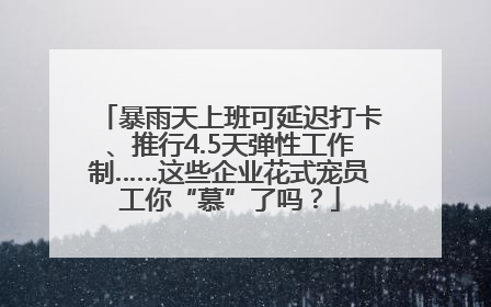 暴雨天上班可延迟打卡、推行4.5天弹性工作制……这些企业花式宠员工你“慕”了吗？