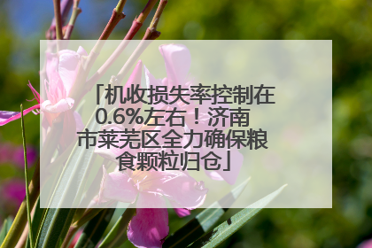 机收损失率控制在0.6%左右！济南市莱芜区全力确保粮食颗粒归仓