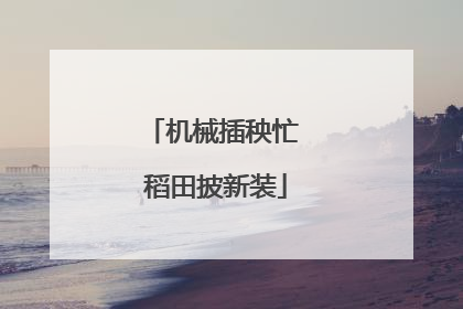 机械插秧忙 稻田披新装