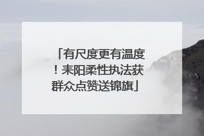 有尺度更有温度！耒阳柔性执法获群众点赞送锦旗