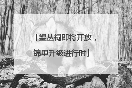 望丛祠即将开放，锦里升级进行时