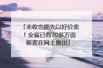未收也能先以好价卖！全省已有70多万亩新麦在网上售出