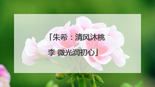 朱希：清风沐桃李 微光润初心