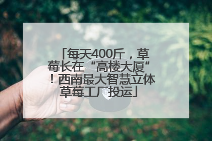 每天400斤，草莓长在“高楼大厦”！西南最大智慧立体草莓工厂投运