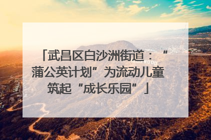 武昌区白沙洲街道：“蒲公英计划”为流动儿童筑起“成长乐园”
