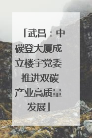 武昌：中碳登大厦成立楼宇党委 推进双碳产业高质量发展