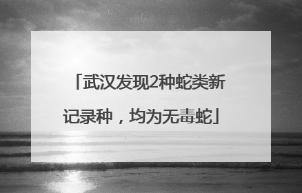 武汉发现2种蛇类新记录种，均为无毒蛇
