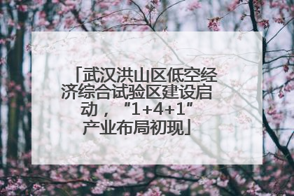 武汉洪山区低空经济综合试验区建设启动，“1+4+1”产业布局初现