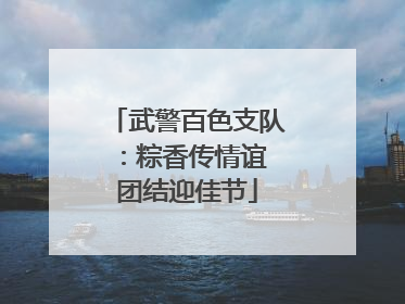 武警百色支队：粽香传情谊 团结迎佳节